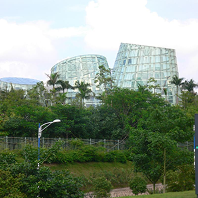 Shenzhen Garden Festival - Image 1