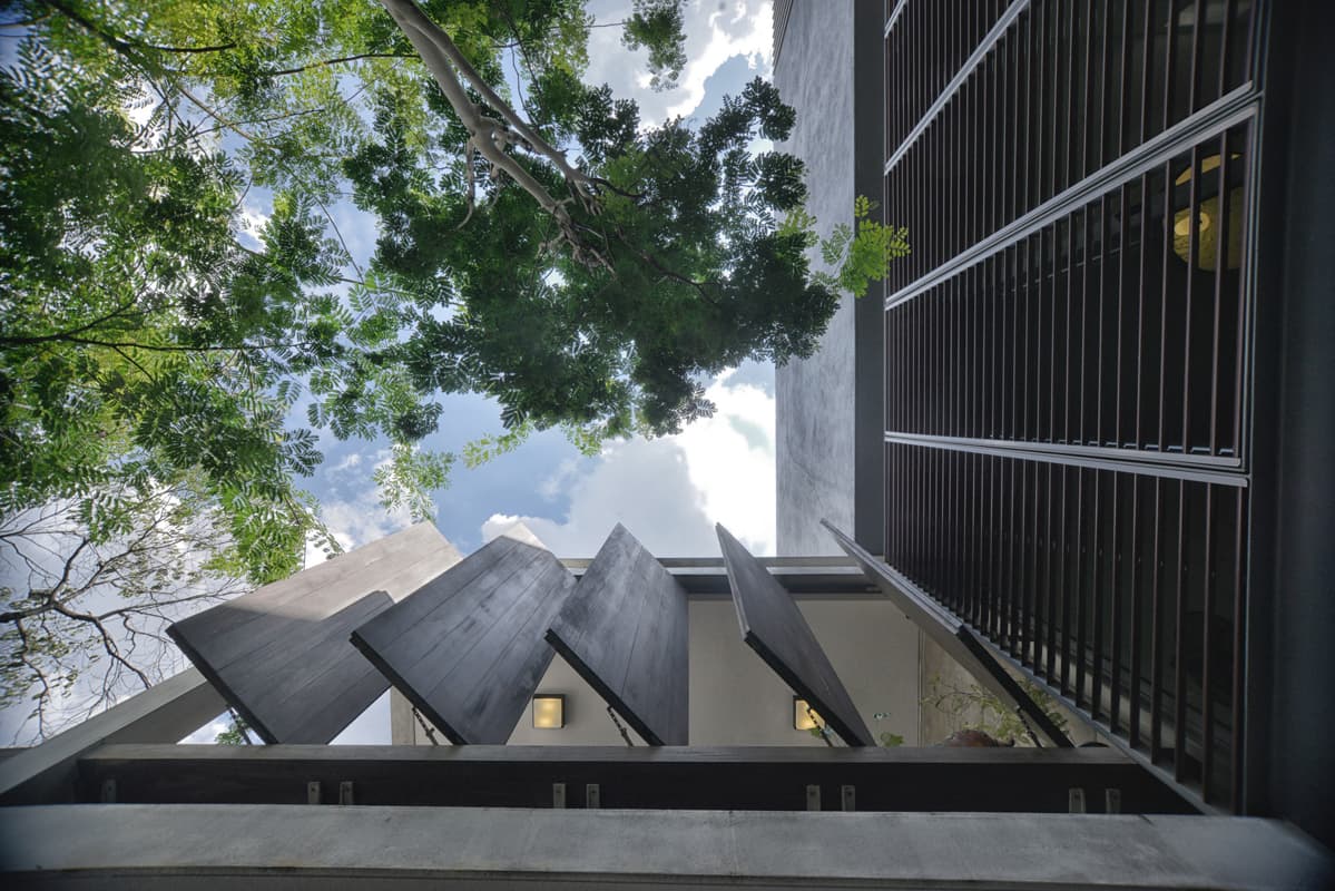 Steve Teoh - Image 5